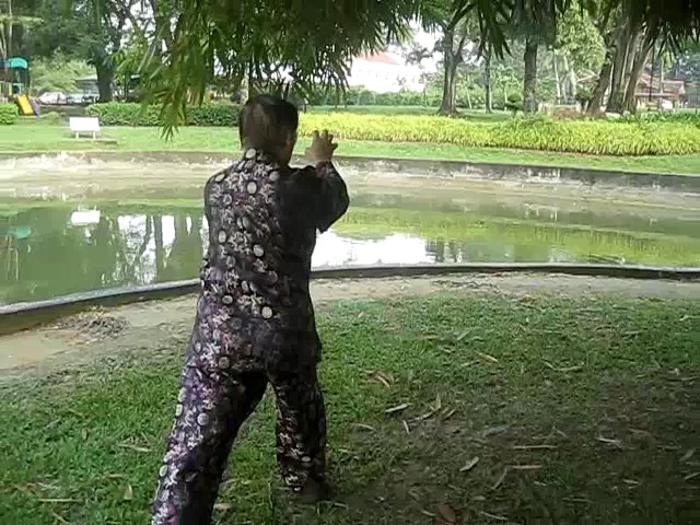 Shaolin 72 Chin-Na Techniques 2015